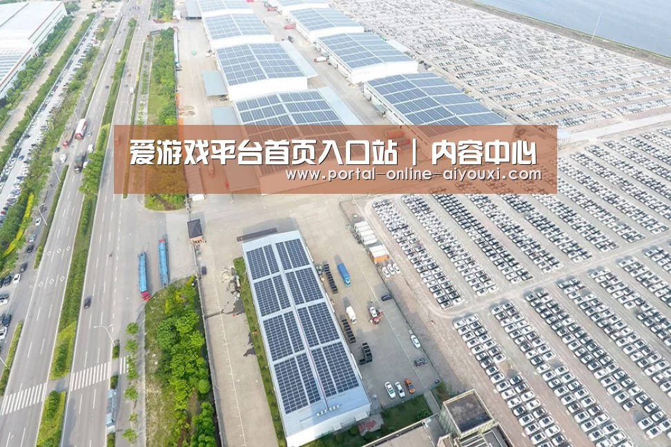 案例展示一