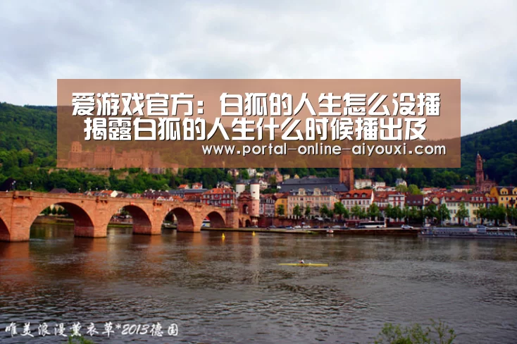 爱游戏官方:白狐的人生怎么没播 揭露白狐的人生什么时候播出及结(图2) 爱游戏直播